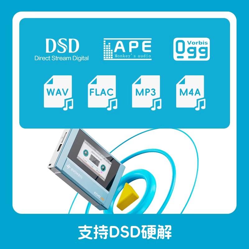 Audio Music Mp3 Free - FiiO SnowSky ECHO Lossless MP3 Player