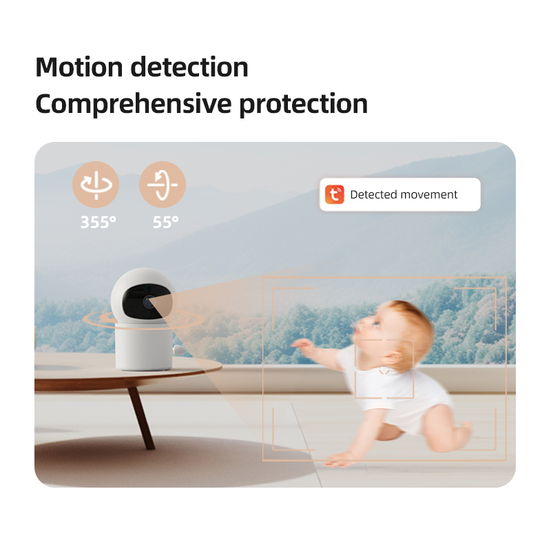 Danmini Tuya Smart 1080P HD Mo – обзор и цена Audio Detect Music